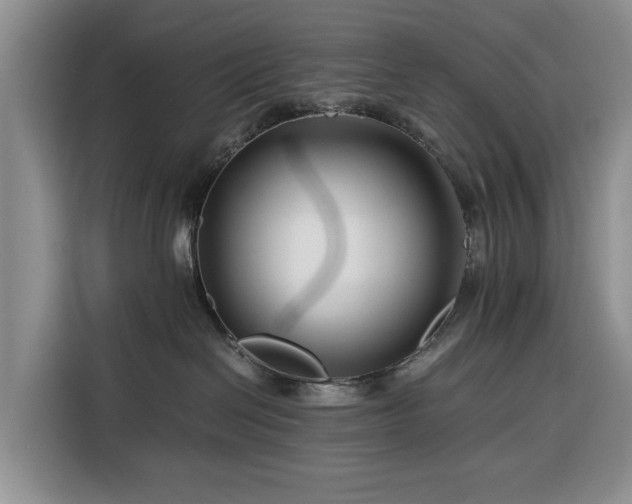 X0000116390286200912091441