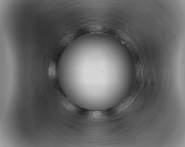 X0000116390287200912091441