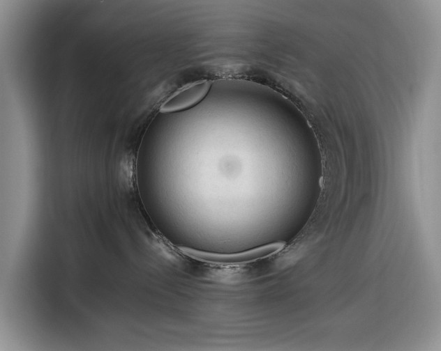 X0000116390288200912091441