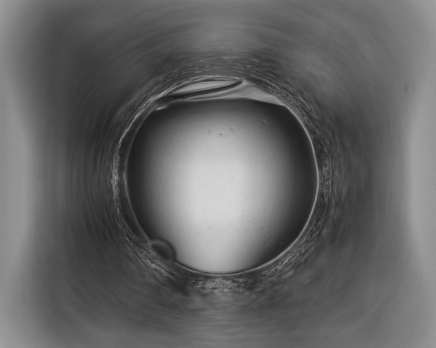X0000116390290200912091440