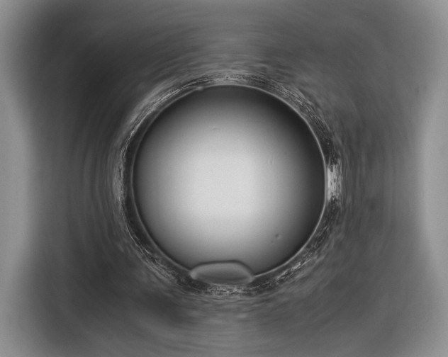 X0000116390291200912091440