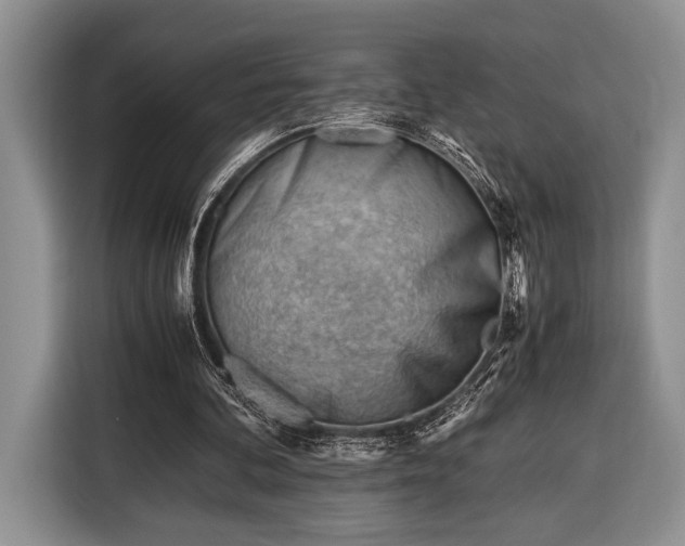 X0000116390292200912091440