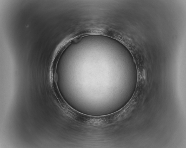 X0000116390294200912091440