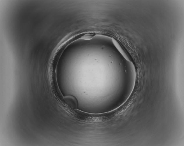 X0000116390295200912091440