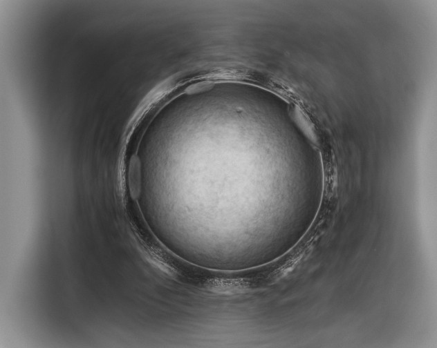 X0000116390296200912091440