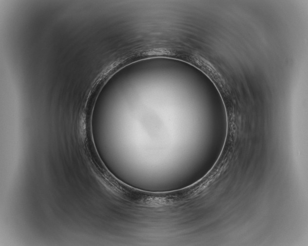 X0000116390298200912091440