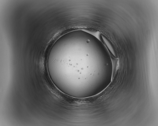 X0000116390300200912091440