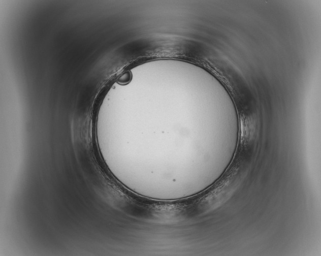 X0000116390301200912091440