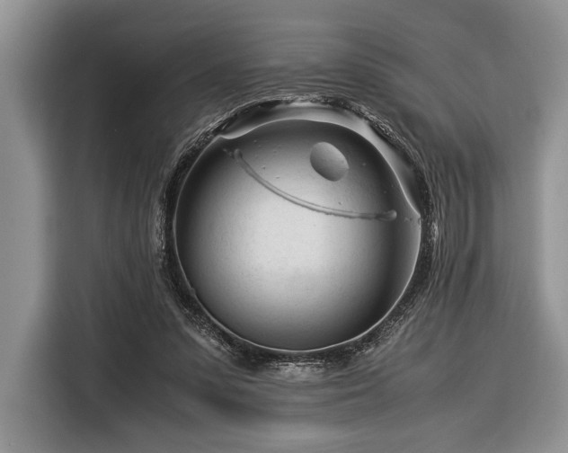X0000116390303200912091440