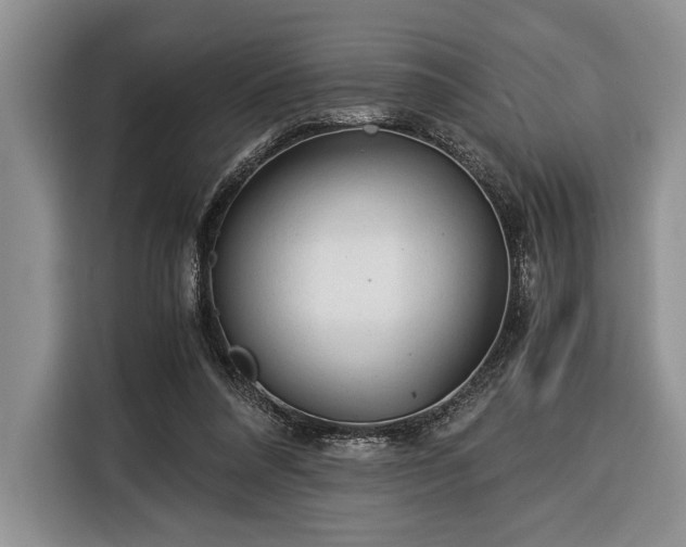 X0000116390304200912091440