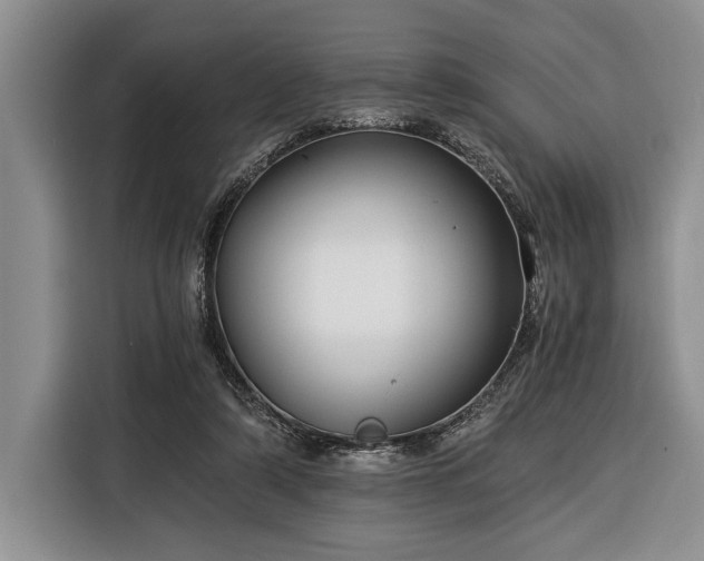 X0000116390306200912091440