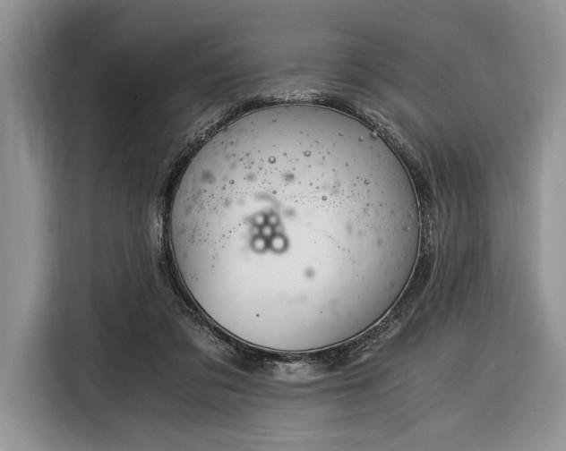 X0000116390309200912091440