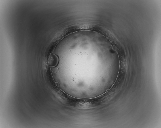 X0000116390311200912091440