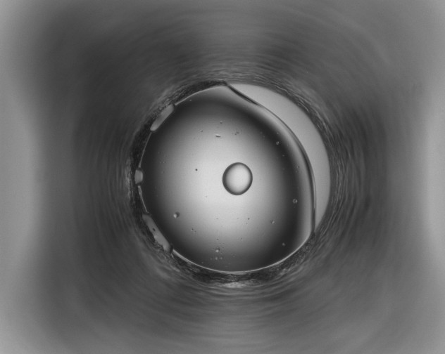 X0000116390312200912091440