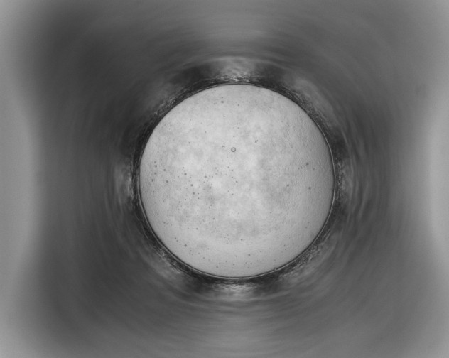 X0000116390313200912091440