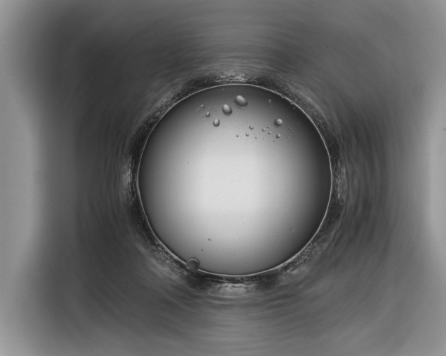 X0000116390314200912091440