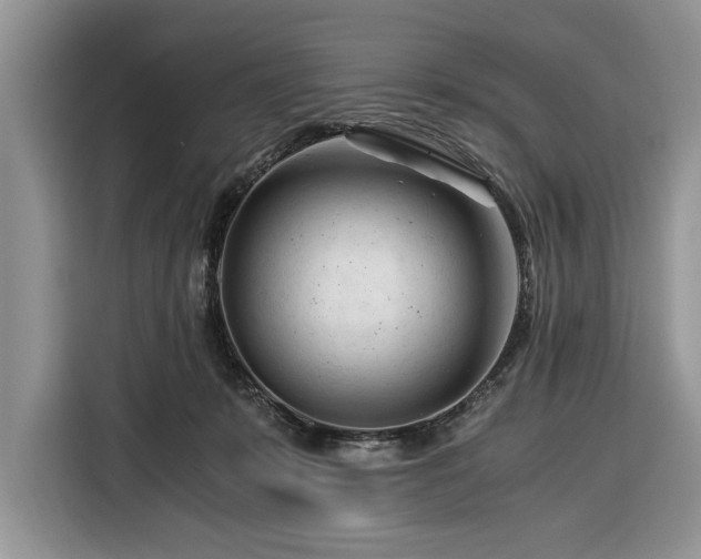 X0000116390319200912091440
