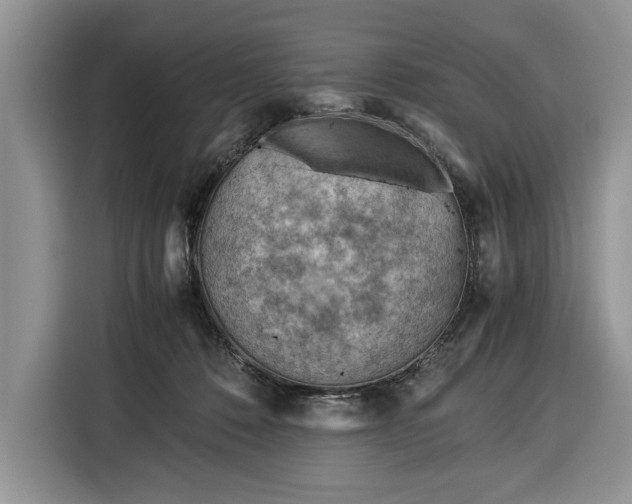 X0000116390320200912091440