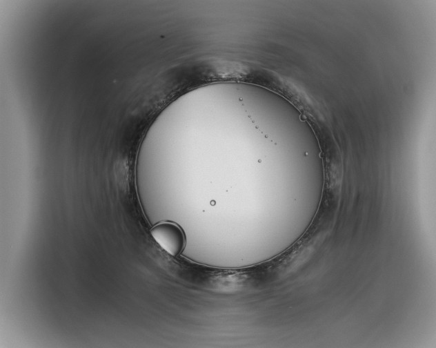 X0000116390321200912091440