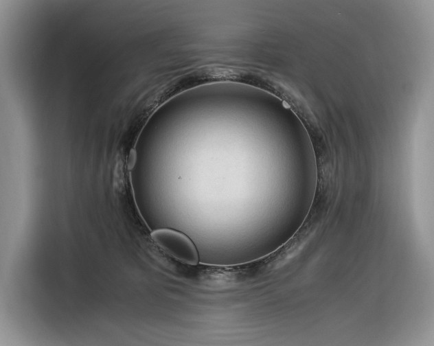 X0000116390325200912091440