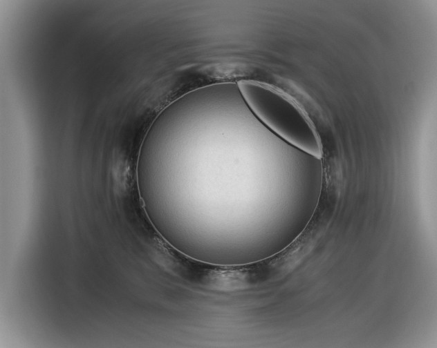 X0000116390327200912091439