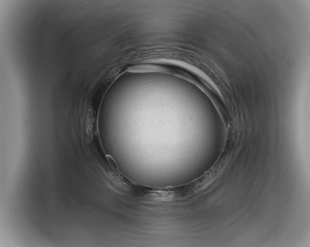 X0000116390328200912091439