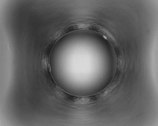 X0000116390329200912091439