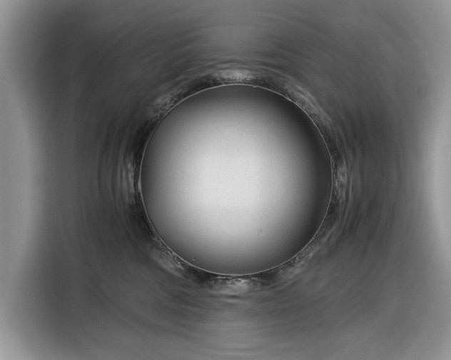X0000116390330200912091439
