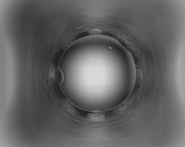 X0000116390331200912091439
