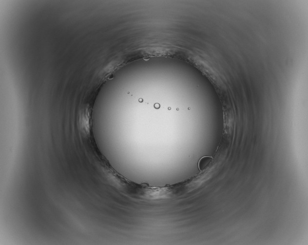 X0000116390334200912091439
