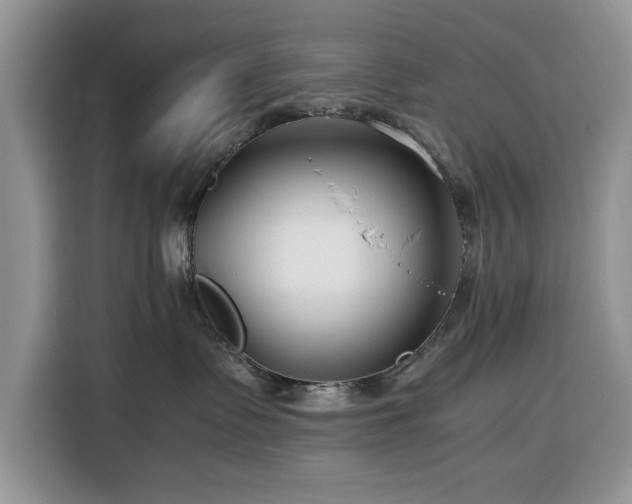 X0000116390335200912091439