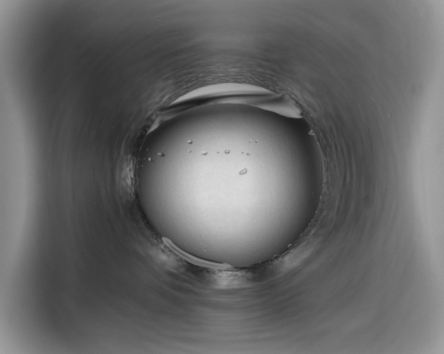 X0000116390336200912091439