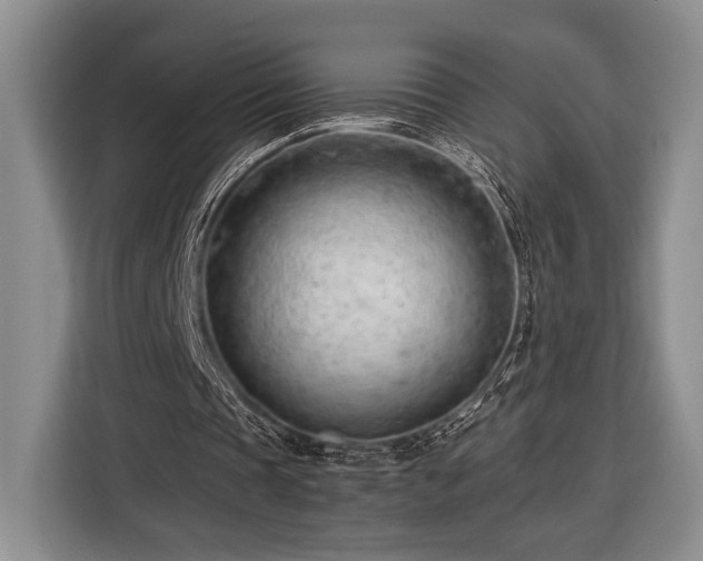 X0000116390337200912091439