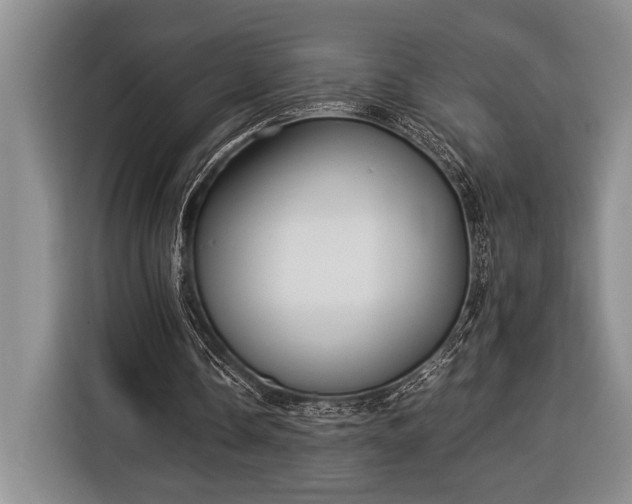 X0000116390338200912091439