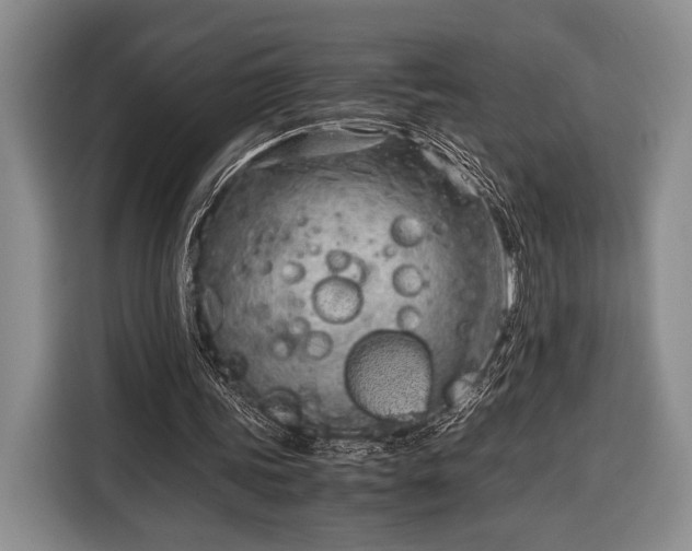 X0000116390339200912091439