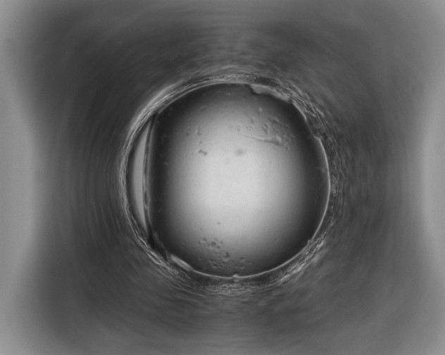 X0000116390341200912091439