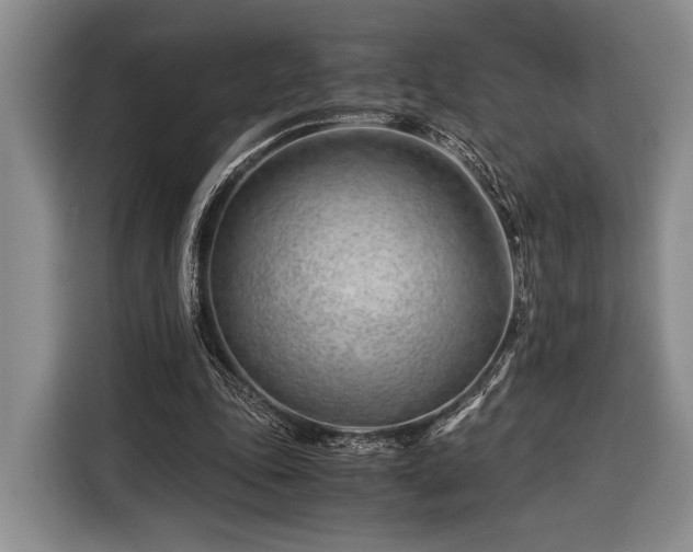 X0000116390343200912091439