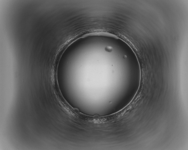 X0000116390345200912091439