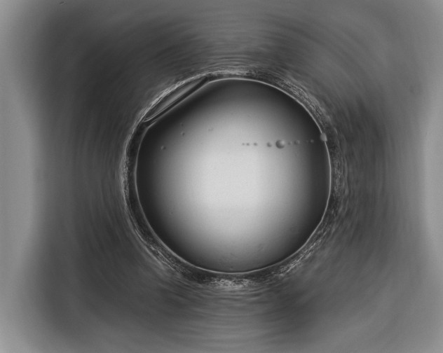 X0000116390346200912091439