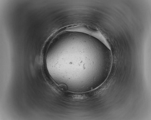 X0000116390347200912091439
