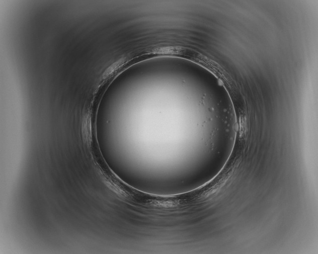 X0000116390349200912091439