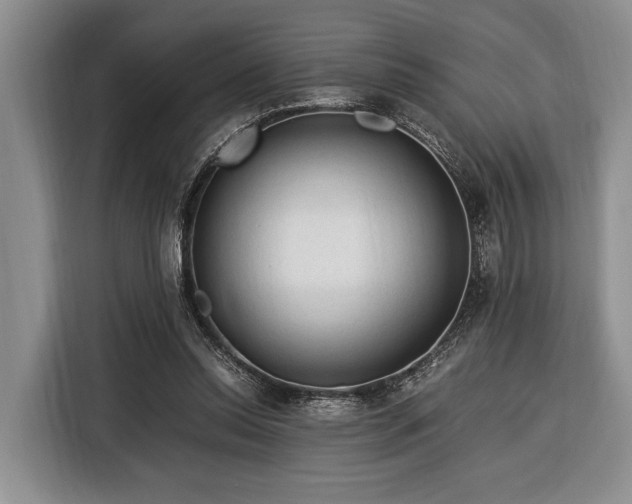 X0000116390350200912091439