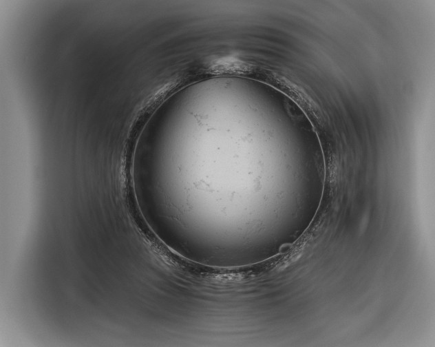 X0000116390353200912091439