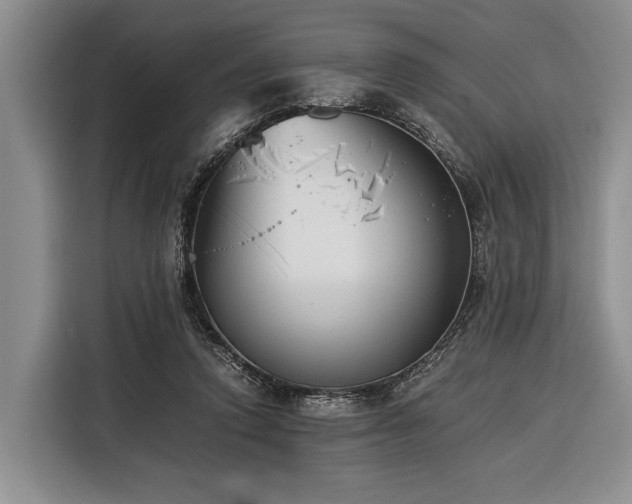 X0000116390354200912091439