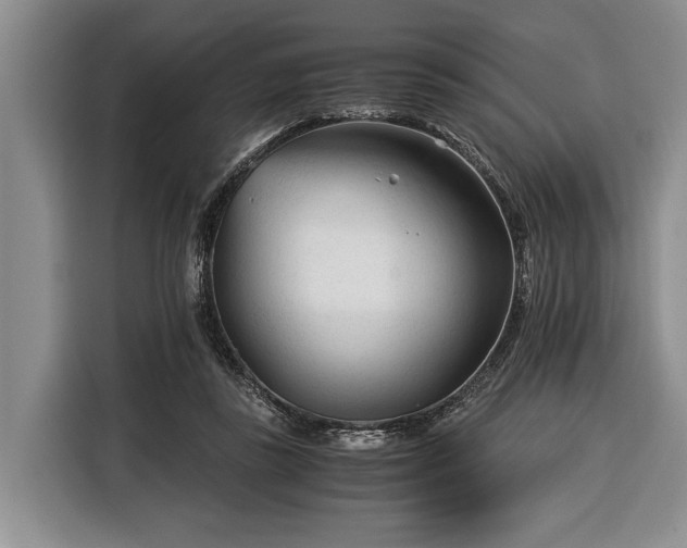 X0000116390355200912091439