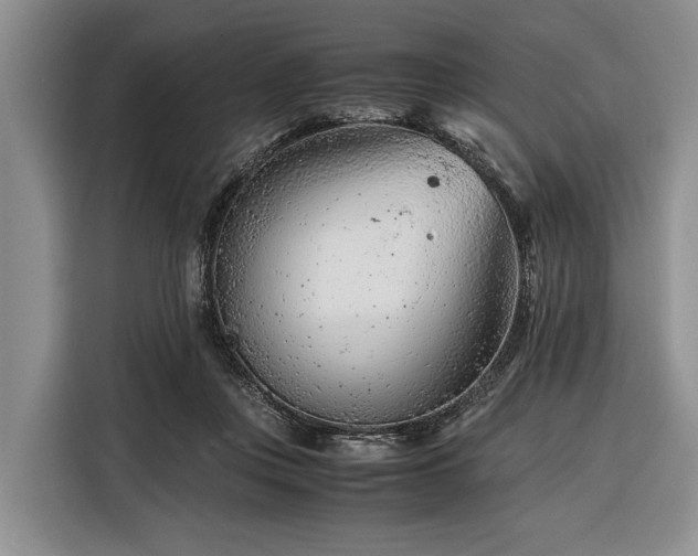X0000116390359200912091439