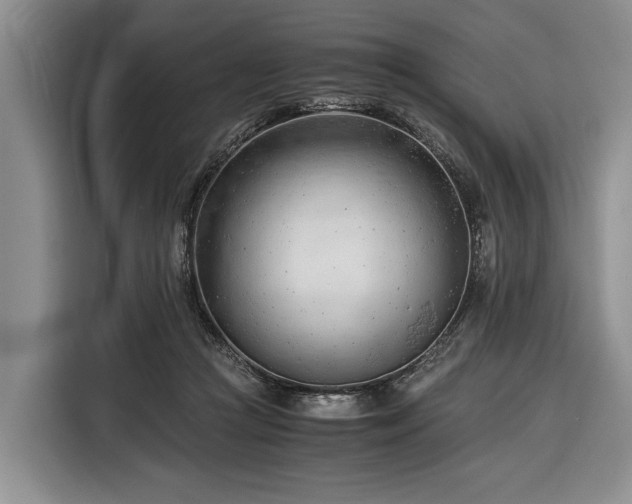 X0000116390361200912091439