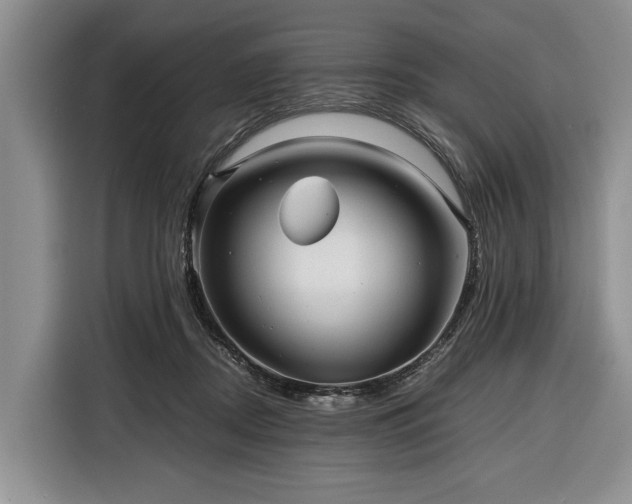X0000116390362200912091439