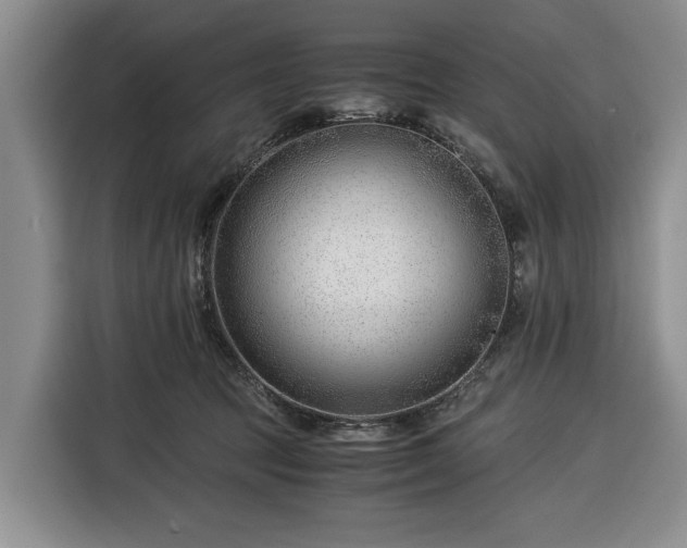 X0000116390369200912091439