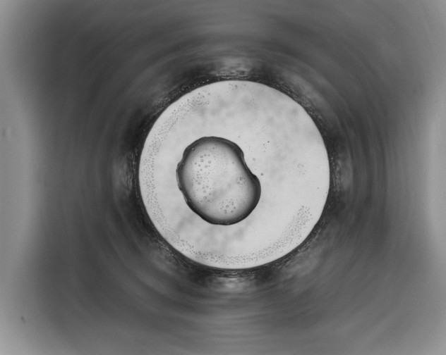X0000116390370200912091439